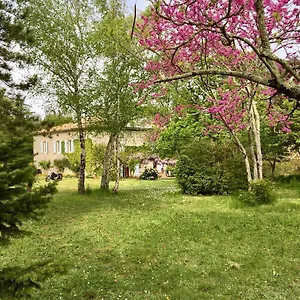 Château De Cartou Duffort